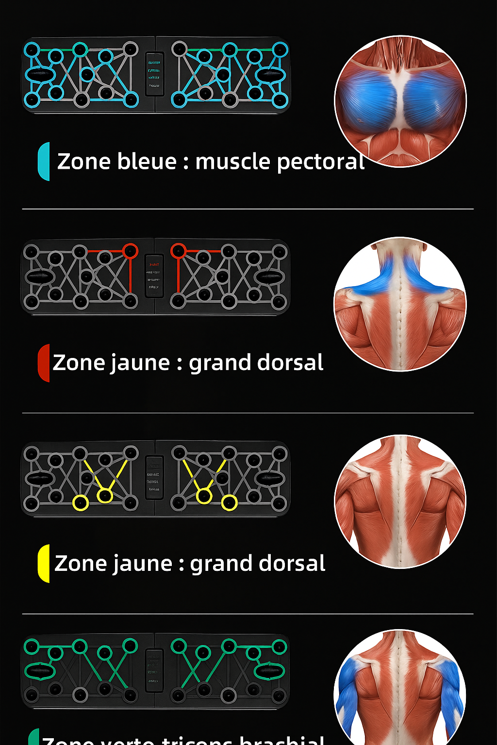 Planche de pompes pliable multifonction – Équipement portable pour muscler pectoraux, abdos et dos